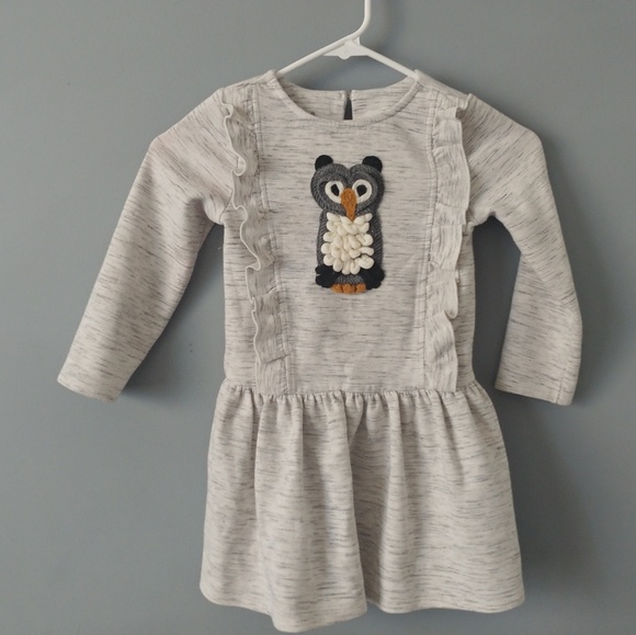 Pippa & Julie Other - Little girls 4 owl gray dress grey Pippa & Julie